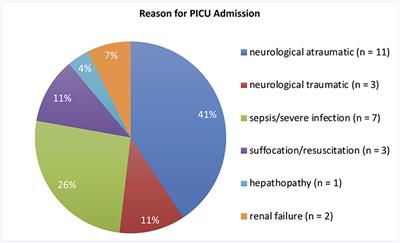 Amplitude-Integrated EEG for Neurological Assessment and Seizure Detection in a German Pediatric Intensive Care Unit